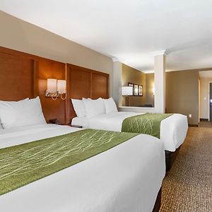 Superior Queen Suite